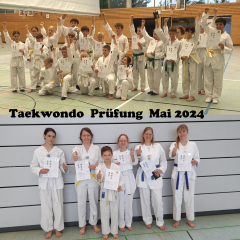 Taekwondo Gürtelprüfungen